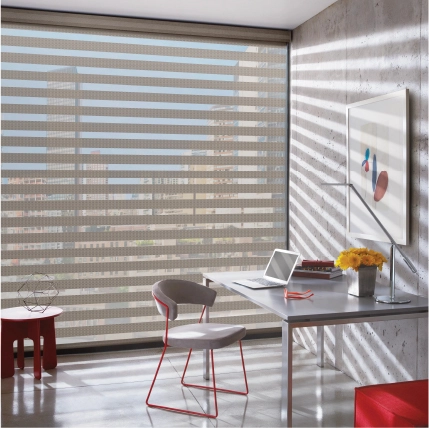 Zebra Blinds